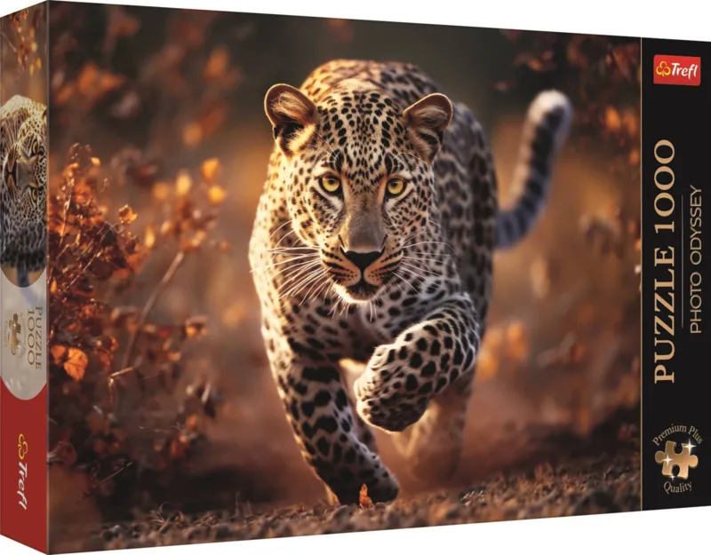Foto-Odyssee: Wilder Leopard