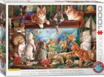 Katzen am Aquarium