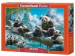 Pandas' Winter Fun