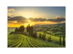 Puzzle XL - Maremma Weinberg