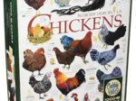 Chicken Quotes