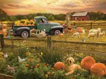 Harvest Time