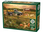 Harvest Time