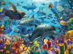 Coral Sea