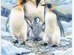 XXL Teile - Penguin Family (Family)