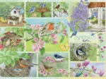 Garten Vögel im Frühling