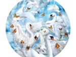 Lori Schory - Swan Waterfall
