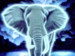 Schim Schimmel - Spirit of Africa