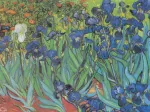 Van Gogh Vincent - Saint-Remy - Les Iris, 1889