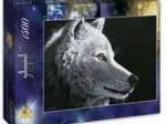 Schim Schimmel - Wolf Light