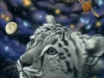 Schim Schimmel - One with the Universe