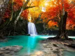 Deep Forest Waterfall