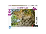 Durch die Augen des Leoparden
