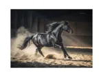 Black Horse