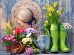 Ready for the Garden