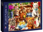 Kittens in the Potting Shed