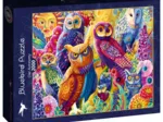 Owl Autonomy