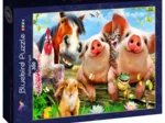 Petting Farm