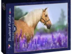 Cheval dans un Champ de Lupin