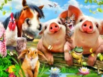Petting Farm