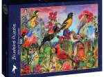 Birds and Blooms Garden