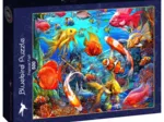 Tropical Fish