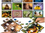 12 Puzzles - Puzzle Battle Natura