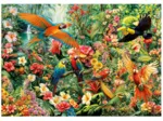 Amazon Birds