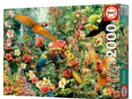 Amazon Birds