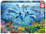 Party under the sea