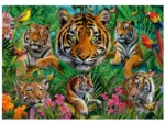 Tiger Jungle