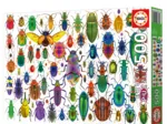 Beetles