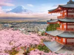 Frühling in Japan