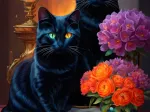 Black Cats