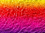 Submerged Rainbow