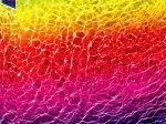 Submerged Rainbow