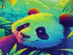 Panda Corner
