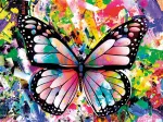 Kunterbunter Schmetterling