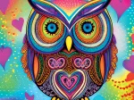 Cute Owl