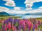 Lake Tekapo
