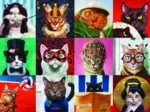 Lustige Katzen