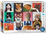 Lustige Katzen