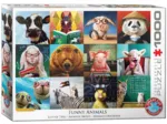 Funny Animals