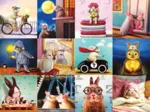 Funny Bunnies
