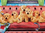 Lounging Labs