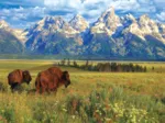 Grand Teton Nationalpark
