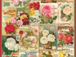 Rosen-Saatgutkatalog