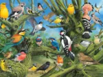 Joahn Francis - Garden Birds