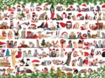 Weihnachtskatze