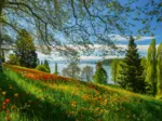 Frühlingsallee zur Tulpenblüte - Insel Mainau